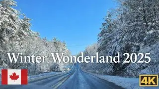 Toronto Winter Wonderland Drive 2025| ASMR| Relaxing| Beautiful scenery 🌨️ comment for more 