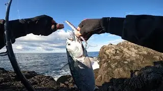 Fishing Montenegro Savage Gear 