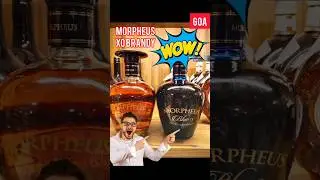 Morpheus brandy goa price 💸