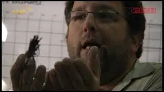 Diseño, fabricación y testeo de cañas de pesca de grafito