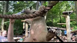 Animal Flexibility Zone - Cincinnati Zoo