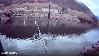 Tongass to mouth Adventures episode 8 Sitka Alaska/rock fish and chum salmon
