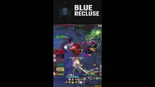 Blue recluse No custer shit