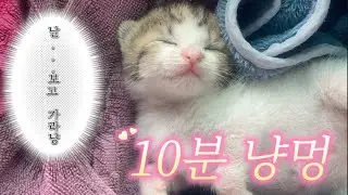 심장ㅇㅔ 무리가 갈 수 있으니 시청해주세요