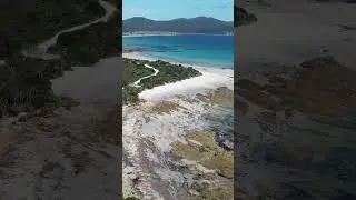 Escaping to Tasmania #Sistersbeach #australia #shorts