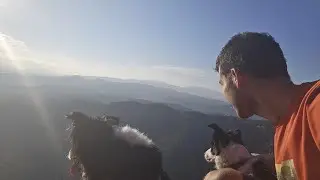 Border Collie Wallace (Sant Sadurni de Gallifa)