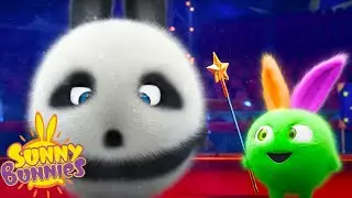 SUNNY BUNNIES - Panda Bunny  | Season 1 | Cartoons for Kids