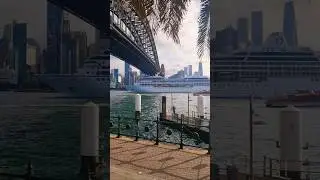 Wow! 😯🫨 Sydney Massive Cruise Ship - Harbour Bridge #youtubeshorts #sydney #beautifulaustralia