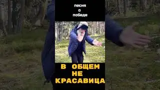 Загадка буквы Z раскрыта!