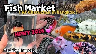 พุธสุดท้ายของเดือน ลานเร่ !! ❤️ | Fish Market at Chatuchak in Bangkok