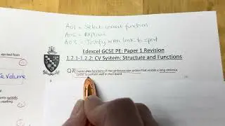 W5 HW feedback Cardiovascular system structure & functions. 