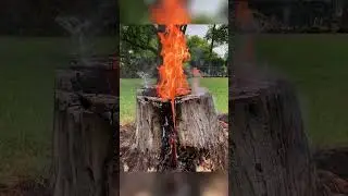 Сжигание пня🔥Поймано пожарными‼️