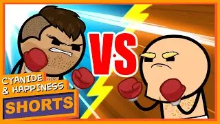 The #1 Boxer
