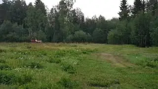 Perfekt betesputs lb185 bm viktor