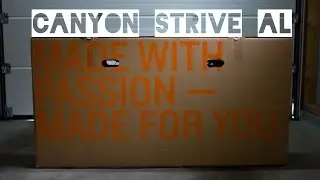Canyon Strive