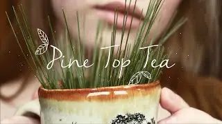 Pine Top Tea || Natural Cold Remedy