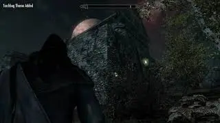 Skyrim (Torchbug Thorax)
