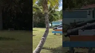 Музей спадщини.