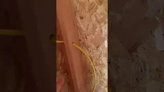 Installing wires in the shed to tiny house conversion!