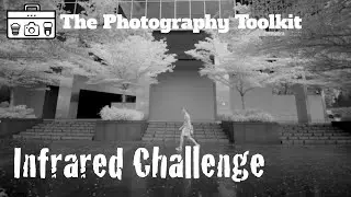 Infrared Photography - Camera Converted to Infrared