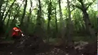 Thule   Bring your life Bike