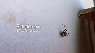 Bitterfontein: Scenes from Lockdown | Documentary Film | Trailer