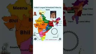 Indian Largest Scheduled Tribes by state #indiantribes #schedule #tribes #music#tribal#india #facts