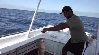 Pescando Congro rosa
