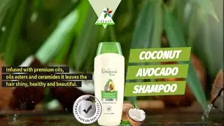 Coconut Avocado Shampoo Healthy& Beautiful Hair Shiny #Glaze