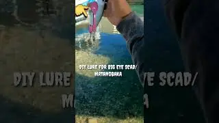 BEST & EFFECTIVE DIY LURE FOR BIG EYE SCAD/MATANGBAKA/ HARVEST #shorts #shortvideo #shortsfeed