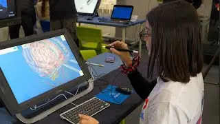 A chi si rivolge Job Orienta 2022: le quattro macroaree