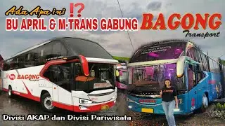 PERNYATAAN RESMI BU APRIL‼️PO. M-TRANS RESMI JADI DIVISI AKAP PO.BAGONG DAN BUKA DIVISI PARIWISATA