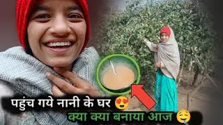 Desi vlog सकरात पर गई नानी के घर क्या-क्या समान बनाया सकरात पर|| simran Panchal k vlogs 🔥💯