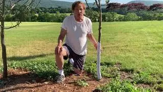 Tree Guard Video for Jim Saunders without fade to black