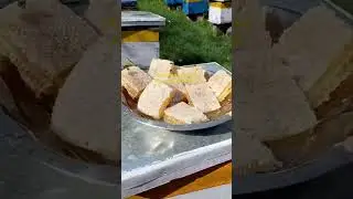 Raw HoneyComb | Honey | Beefarm | Beekeeping | Himalayan street raw honey