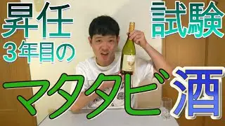 3年目のマタタビ酒を試飲しました!!
