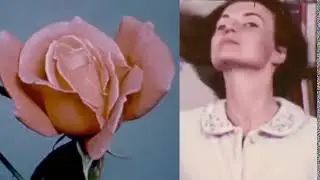 mira6