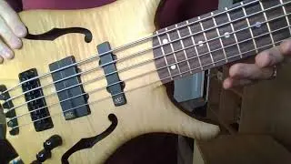 Warwick Infinity NT 5 2009