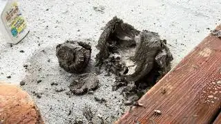 Exterminating Wasp Nest Using Doktor Doom and Spray Nine