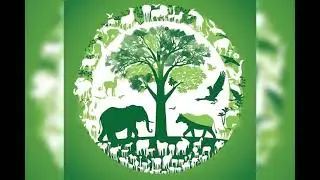 04 October - World Animal Day