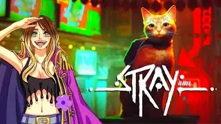 The Flat Chapter 3 : How to Open the Door |   Walkthrough) 😻|   Explained STRAY 🐈   | Foxey Yt 🦊