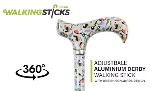 Adjustable Aluminium Derby Walking Stick with British Songbirds Design