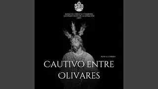 Cautivo entre Olivares