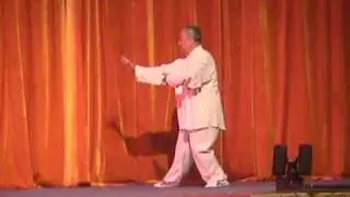Yang Style Taijiquan - Yang Zhenduo