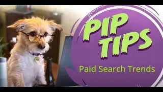 How to Launch a Search Campaign with New Ad Trends | Pip's Tips @ Informatics