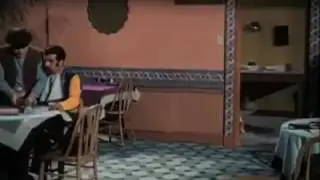 Cat comedy in hotel