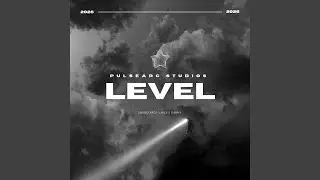 Level