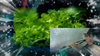 MidiSax Clip Full