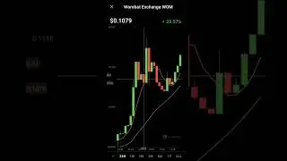 Wombet exchange coin price increased wom coin #wom #bitcoin #wombat