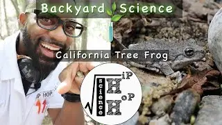 Backyard Science [California Tree Frog] - Hip Hop Science